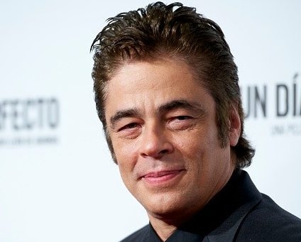 Benicio del Toro Net Worth